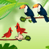 Color Bird Sort Puzzle – Mastering the Art of Avian Organization
